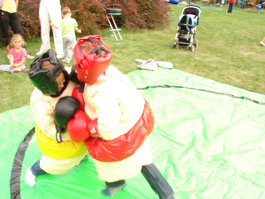 Sumo pro děti.jpg