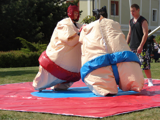 Sumo ring.jpg